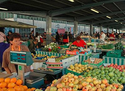 Seasonal foods fresh from the fields